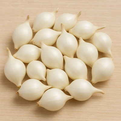 CEBULA DYMKA Biała White Snowball do sadzenia 250g